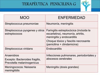 MOO ENFERMEDAD
Streptococcus pneumoniae Neumonía, meningitis
Streptococcus pyogenes y otros
estreptococos
Faringitis estreptocócica (incluida la
escarlatina), neumonía, artritis,
meningitis y endocarditis
Choque tóxico y fascitis necrosante
(penicilina + clindamicina)
Streptococcus viridans Endocarditis
Anaerobios
Excepto: Bacteroides fragilis,
Prevotella melaninogenicus
Infecciones pulmonares, periodontales y
abscesos cerebrales
Meningococos: Neisseria
meningitidis
Meningitis (dosis grandes)
TERAPÉUTICA PENICILINA G
 