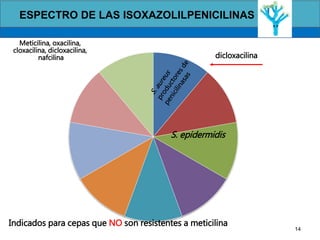 14
Indicados para cepas que NO son resistentes a meticilina
S. epidermidis
dicloxacilina
Meticilina, oxacilina,
cloxacilina, dicloxacilina,
nafcilina
ESPECTRO DE LAS ISOXAZOLILPENICILINAS
 