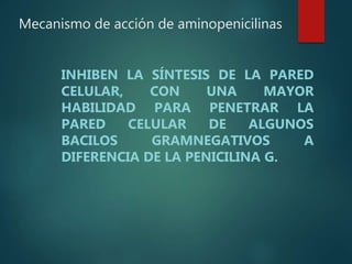 Mecanismo de acción de aminopenicilinas
INHIBEN LA SÍNTESIS DE LA PARED
CELULAR, CON UNA MAYOR
HABILIDAD PARA PENETRAR LA
PARED CELULAR DE ALGUNOS
BACILOS GRAMNEGATIVOS A
DIFERENCIA DE LA PENICILINA G.
 