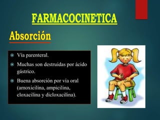  Vía parenteral.
 Muchas son destruidas por ácido
gástrico.
 Buena absorción por vía oral
(amoxicilina, ampicilina,
cloxacilina y dicloxacilina).
 