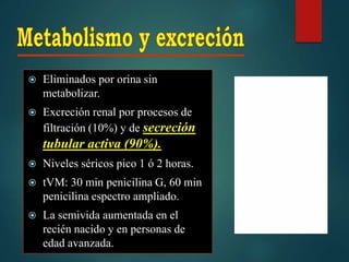  Eliminados por orina sin
metabolizar.
 Excreción renal por procesos de
filtración (10%) y de secreción
tubular activa (90%).
 Niveles séricos pico 1 ó 2 horas.
 tVM: 30 min penicilina G, 60 min
penicilina espectro ampliado.
 La semivida aumentada en el
recién nacido y en personas de
edad avanzada.
 