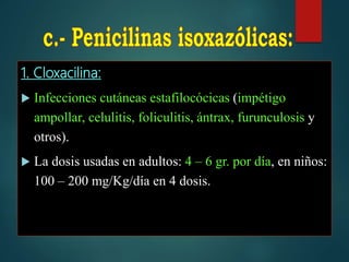1. Cloxacilina:
 Infecciones cutáneas estafilocócicas (impétigo
ampollar, celulitis, foliculitis, ántrax, furunculosis y
otros).
 La dosis usadas en adultos: 4 – 6 gr. por día, en niños:
100 – 200 mg/Kg/día en 4 dosis.
 