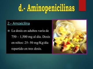 2.- Amoxicilina
 La dosis en adultos varía de
750 – 1,500 mg al día. Dosis
en niños: 25- 50 mg/Kg/día
repartido en tres dosis.
 