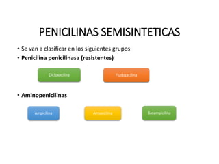 PENICILINAS SEMISINTETICAS
• Se van a clasificar en los siguientes grupos:
• Penicilina penicilinasa (resistentes)
• Aminopenicilinas
Dicloxacilina Fludozacilina
Ampicilina Amoxicilina Bacampicilina
 