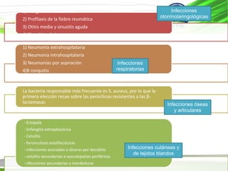 1) Amigdalitis bacterianas
2) Profilaxis de la fiebre reumática
3) Otitis media y sinusitis aguda
4) Sinusitis crónica
1) Neumonía extrahospitalaria
2) Neumonía intrahospitalaria
3) Neumonías por aspiración
4)B ronquitis
La bacteria responsable más frecuente es S. aureus, por lo que la
primera elección recae sobre las penicilinas resistentes a las β-
lactamasas
- Erisipela
- linfangitis estreptocócica
- Celulitis
- forunculosis estafilocócicas
- infecciones asociadas a úlceras por decúbito
- celulitis secundarias a vasculopatías periféricas
- nfecciones secundarias a mordeduras
Infecciones
otorrinolaringológicas
Infecciones
respiratorias
Infecciones óseas
y articulares
Infecciones cutáneas y
de tejidos blandos
 