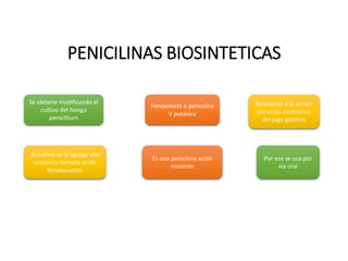 PENICILINAS BIOSINTETICAS
Se obtiene modificando el
cultivo del hongo
penicillium
Al cultivo se le agrega una
sustancia llamada acido
fenoxiacetico
Fenoximetil o penicilina
V potásica
Es una penicilina acido
resistnte
Resistente a la acción
del acido clorhídrico
del jugo gastrico
Por eso se usa por
vía oral
 