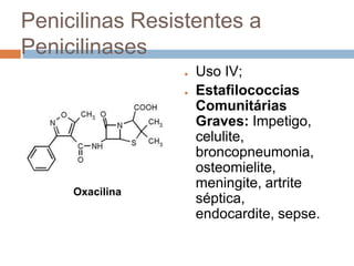 Penicilinas Resistentes a
Penicilinases
● Uso IV;
● Estafilococcias
Comunitárias
Graves: Impetigo,
celulite,
broncopneumonia,
osteomielite,
meningite, artrite
séptica,
endocardite, sepse.
Oxacilina
 