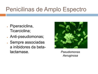 Penicilinas de Amplo Espectro
● Piperaciclina,
Ticarciclina;
● Anti-pseudomonas;
● Sempre associadas
a inibidores da beta-
lactamase. Pseudomonas
Aeruginosa
 