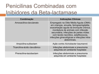 Penicilinas Combinadas com
Inibidores da Beta-lactamase
Combinação Indicações Clínicas
Amoxacilina-clavulanato Empregado na Otite Média Aguda (OMA)
em crianças, sinusite, faringoamigdalite,
exacerbação aguda da bronquite crônica,
mordedura de animais com infecção
secundária, infecções de partes moles
com tecido necrótico, estafilococcia,
infecções ginecológicas e infecções intra-
abdominais.
Ampicilina-sulbactam Ação contra Acinobacter baumannii.
Ticarcilina-ácido clavulânico Infecções abdominais e pneumonia
adquirida em ambiente hospitalar.
Pireracilina-tazobactam Infecções abdominais e pneumonia
adquirida em ambiente hospitalar.
 