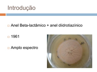 Introdução
 Anel Beta-lactâmico + anel diidrotiazínico
 1961
 Amplo espectro
 