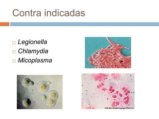 Contra indicadas
 Legionella
 Chlamydia
 Micoplasma
 