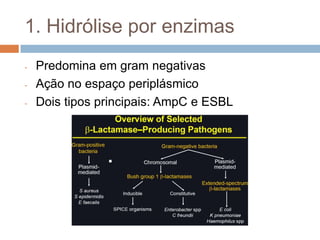 1. Hidrólise por enzimas
- Predomina em gram negativas
- Ação no espaço periplásmico
- Dois tipos principais: AmpC e ESBL
 