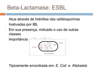 Beta-Lactamase: ESBL
- Atua através de hidrólise das cefalosporinas
- Inativadas por IBL
- Em sua presença, indicado o uso de outras
classes
- Importância epidemiológica
- Tipicamente encontrada em: E. Coli e Klebsiela
 