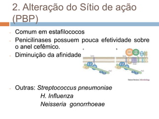 2. Alteração do Sítio de ação
(PBP)
- Comum em estafilococos
- Penicilinases possuem pouca efetividade sobre
o anel cefêmico.
- Diminuição da afinidade
- Outras: Streptococcus pneumoniae
H. Influenza
Neisseria gonorrhoeae
 