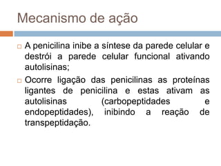 Mecanismo de ação
 A penicilina inibe a síntese da parede celular e
destrói a parede celular funcional ativando
autolisinas;
 Ocorre ligação das penicilinas as proteínas
ligantes de penicilina e estas ativam as
autolisinas (carbopeptidades e
endopeptidades), inibindo a reação de
transpeptidação.
 