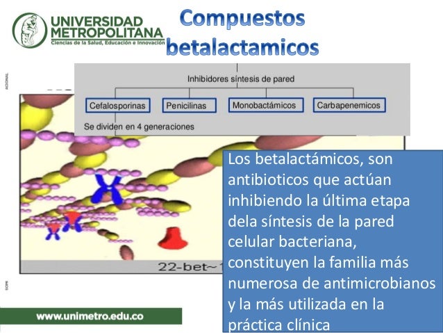 Penicilinas Pared Bacteriana
