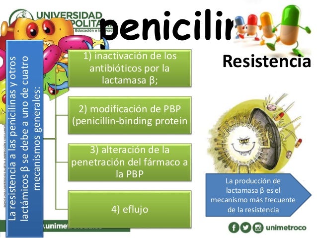 Penicilinas pared bacteriana