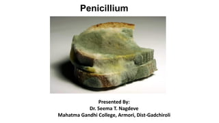 Penicillium
Presented By:
Dr. Seema T. Nagdeve
Mahatma Gandhi College, Armori, Dist-Gadchiroli
 