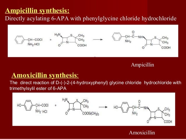 Amoxicillin Ampicillin Better