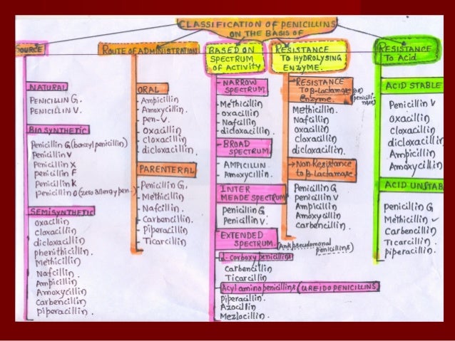 Antibiotics Penicillins Medicinal Chemistry By Ravisankar