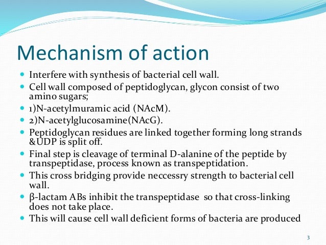 What Occurs When Probenecid Is Taken With Penicillin
