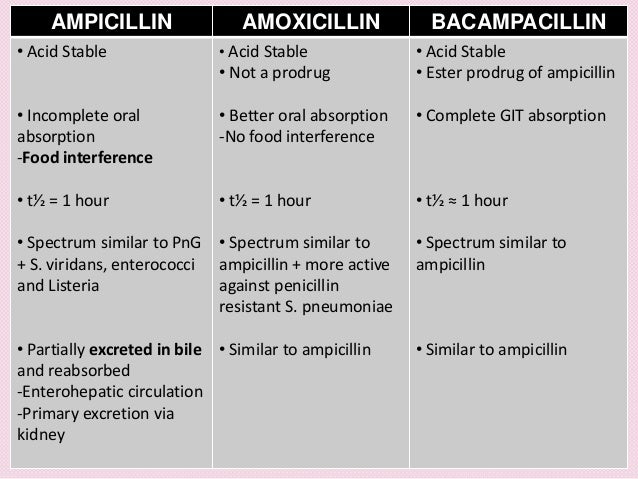 Ampicillin And Amoxicillin Metabolism