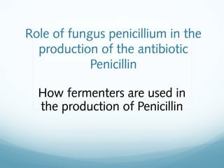 Role of fungus penicillium in the
production of the antibiotic
Penicillin
How fermenters are used in
the production of Penicillin
 