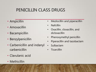 PENICILLIN CLASS DRUGS
• Ampicillin
• Amoxacillin
• Bacampicillin
• Benzylpenicillin
• Carbenicillin and indanyl
carbenicillin
• Clavulanic acid
• Methicillin
• Mezlocillin and piperacillin
• Nafcillin
• Oxacillin, cloxacillin, and
dicloxacillin
• Phenoxymethyl penicillin
• Piperacillin and tazobactam
• Sulbactam
• Ticarcillin
 