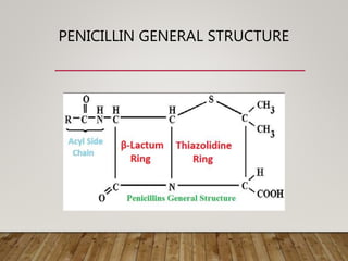PENICILLIN GENERAL STRUCTURE
 