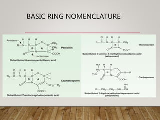 BASIC RING NOMENCLATURE
 