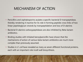 MECHANISM OF ACTION
• Penicillins and cephalosporins acylate a specific bacterial D-transpeptidase,
thereby rendering it inactive for its role in forming peptide cross-links of two
linear peptidoglycan strands by transpeptidation and loss of D-alanine.
• Bacterial D-alanine carboxypeptidases are also inhibited by Beta-lactam
antibiotics.
• Binding studies with tritiated benzylpenicillin have shown that the
mechanisms of action of various beta–lactam antibiotics are much more
complex than previously assumed.
• Studies in E. coli have revealed as many as seven different functional proteins,
each with an important role incell wall biosynthesis.
 