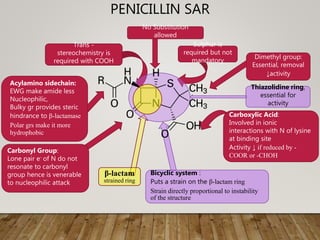 PENICILLIN SAR
No Substitution
allowed
Sulphur is
required but not
mandatory
Thiazolidine ring,
essential for
activity
Carboxylic Acid:
Involved in ionic
interactions with N of lysine
at binding site
Activity ↓ if reduced by -
COOR or -CHOH
Trans -
stereochemistry is
required with COOH
Acylamino sidechain:
EWG make amide less
Nucleophilic,
Bulky gr provides steric
hindrance to β-lactamase
Polar grs make it more
hydrophobic
Carbonyl Group:
Lone pair e- of N do not
resonate to carbonyl
group hence is venerable
to nucleophilic attack
Bicyclic system :
Puts a strain on the β-lactam ring
Strain directly proportional to instability
of the structure
β-lactam
strained ring
Dimethyl group:
Essential, removal
↓activity
 