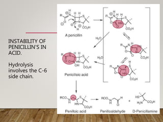 INSTABILITY OF
PENICILLIN'S IN
ACID.
Hydrolysis
involves the C-6
side chain.
 