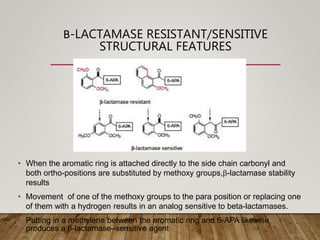 Β-LACTAMASE RESISTANT/SENSITIVE
STRUCTURAL FEATURES
• When the aromatic ring is attached directly to the side chain carbonyl and
both ortho-positions are substituted by methoxy groups,b-lactamase stability
results
• Movement of one of the methoxy groups to the para position or replacing one
of them with a hydrogen results in an analog sensitive to beta-lactamases.
• Putting in a methylene between the aromatic ring and 6-APA likewise
produces a b-lactamase–sensitive agent
 
