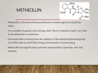 METHICILLIN
• Methicillin is the first of the penicillinase-resistant agents to reach the
clinic.
• It is unstable to gastric acid, having a half- life of 5 minutes at pH 2, so it has
to be administer via injection.
• Increased bulk resulting from the addition of the dimethoxybenzoyl group
to 6-APA leads to methicillin being a b-lactamase–resistant drug.
• Methicillin has significantly narrower antimicrobial spectrum and less
potency.
 