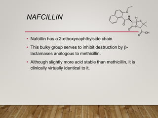 NAFCILLIN
• Nafcillin has a 2-ethoxynaphthylside chain.
• This bulky group serves to inhibit destruction by b-
lactamases analogous to methicillin.
• Although slightly more acid stable than methicillin, it is
clinically virtually identical to it.
 
