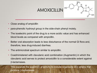 AMOXICILLIN
• Close analog of ampicillin
• para-phenolic hydroxyl group in the side-chain phenyl moiety.
• The isoelectric point of the drug to a more acidic value and has enhanced
blood levels as compared with ampicillin.
• Better oral absorption leads to less disturbance of the normal GI flora and,
therefore, less drug-induced diarrhea.
• The antimicrobial spectrum similar to ampicillin.
• Coadministered with clavulanic acid combination (Augmentin) in which the
clavulanic acid serves to protect amoxicillin to a considerable extent against
b-lactamases.
• This expands the spectrum of activity to include organisms and strains that
produce b-lactamases.
 