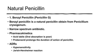 Natural Penicillin
• 1. Benzyl Penicillin (Penicillin G)
• Benzyl penicillin is a natural penicillin obtain from Penicillium
crysogenum.
• Narrow spectrum antibiotic.
• Pharmacokinetics
 Acid labile (Oral absorption is poor)
 Probenacid prolongs the duration of action of penicillin.
• ADRs
• Hypersensitivity
• Jarish-Herxheimer reaction
 