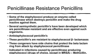 Penicillinase Resistance Penicillins
• Some of the staphylococci produce an enzyme called
penicillinase which destroys penicillin and make the drug
inactive against them.
• Several semisynthetic penicillin's have been developed which
are penicillinase resistant and are effective even against such
organisms.
• Antistaphylococcal penicillin's
• These penicillin's are resistant to staphylococcal β- lactamases
• These congeners have side chains that protect the beta lactam
ring from attack by staphylococcal penicillinase
• Indicated in infections caused by penicillinase producing
staphylococci (drugs of choice, except in MRSA) – Methicillin,
 