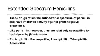 Extended Spectrum Penicillins
• These drugs retain the antibacterial spectrum of penicillin
and have improved activity against gram-negative
organisms.
• Like penicillin, however, they are relatively susceptible to
hydrolysis by β-lactamases.
• Ex: Ampicillin, Bacampicillin, Pivampicillin, Talampicillin,
Amoxicillin
 