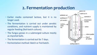  Earlier media contained lactose, but it is no
longer used.
 The fermentation is carried out under aerobic
conditions, and nutrient supply is maintained by
regular feeding (fed-batch culture).
 The fungus grows in a submerged culture mostly
as mycelial balls.
 The fermentation is carried out for 7 days.
 Fermentation method: Batch or Fed batch.
2. Fermentation production
 