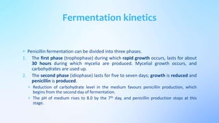  Penicillin fermentation can be divided into three phases.
1. The first phase (trophophase) during which rapid growth occurs, lasts for about
30 hours during which mycelia are produced. Mycelial growth occurs, and
carbohydrates are used up.
2. The second phase (idiophase) lasts for five to seven days; growth is reduced and
penicillin is produced.
 Reduction of carbohydrate level in the medium favours penicillin production, which
begins from the second day of fermentation.
 The pH of medium rises to 8.0 by the 7th day, and penicillin production stops at this
stage.
Fermentation kinetics
 