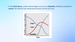  In the third phase, carbon and nitrogen sources are depleted, antibiotic production
ceases, the mycelia lyse releasing ammonia and the pH rises.
 