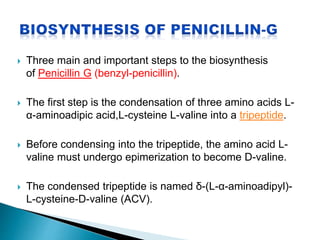  Three main and important steps to the biosynthesis
of Penicillin G (benzyl-penicillin).
 The first step is the condensation of three amino acids L-
α-aminoadipic acid,L-cysteine L-valine into a tripeptide.
 Before condensing into the tripeptide, the amino acid L-
valine must undergo epimerization to become D-valine.
 The condensed tripeptide is named δ-(L-α-aminoadipyl)-
L-cysteine-D-valine (ACV).
 