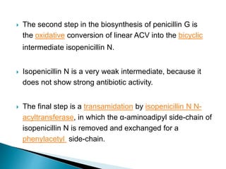  The second step in the biosynthesis of penicillin G is
the oxidative conversion of linear ACV into the bicyclic
intermediate isopenicillin N.
 Isopenicillin N is a very weak intermediate, because it
does not show strong antibiotic activity.
 The final step is a transamidation by isopenicillin N N-
acyltransferase, in which the α-aminoadipyl side-chain of
isopenicillin N is removed and exchanged for a
phenylacetyl side-chain.
 