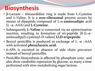 Biosynthesis
 β-Lactam – thioazolidine ring is made from L-Cysteine
and L-Valine. It is a non-ribosomal process occurs by
means of dipeptide composed of L-α-aminoadipic acid
(L -α -AAA) and L-Cysteine.
 Subsequently L-Valine is connected via an epimerization
reaction, resulting in formation of tri-peptide [δ-(L-α-
aminoadipyl)-cysteinyl-D-valine] LLD-tripeptide.
 Benzyl penicillin is produced in exchange of L -α –AAA
with activated phenylacetic acid.
 6-APA is excreted in absence of side chain precursor
instead of benzyl penicillin.
 Penicillin biosynthesis is affected by phosphate conc. and
also show catabolite repression by glucose, so many a time
performed with slow metabolizing sugar lactose.
 