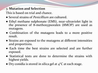 3. Mutation and Selection
This is based on trial and chance.
● Several strains of Penicillium are cultured.
● Ethyl methane sulphonate (EMS), near-ultraviolet light in
the presence of 8-methoxypsoralen (8MOP) are used as
mutagens.
● Combination of the mutagens leads to a more positive
result.
● Strains are exposed to the mutagens at different intensities
and proportions.
● Each time the best strains are selected and are further
exposed.
● Statistical tests are done to determine the strains with
highest yields.
● Dry conidia is stored in silica gel at 4°C at each stage.
 