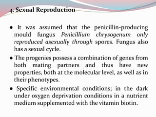 4. Sexual Reproduction
● It was assumed that the penicillin-producing
mould fungus Penicillium chrysogenum only
reproduced asexually through spores. Fungus also
has a sexual cycle.
● The progenies possess a combination of genes from
both mating partners and thus have new
properties, both at the molecular level, as well as in
their phenotypes.
● Specific environmental conditions; in the dark
under oxygen deprivation conditions in a nutrient
medium supplemented with the vitamin biotin.
 