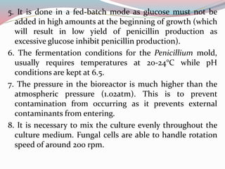 5. It is done in a fed-batch mode as glucose must not be
added in high amounts at the beginning of growth (which
will result in low yield of penicillin production as
excessive glucose inhibit penicillin production).
6. The fermentation conditions for the Penicillium mold,
usually requires temperatures at 20-24°C while pH
conditions are kept at 6.5.
7. The pressure in the bioreactor is much higher than the
atmospheric pressure (1.02atm). This is to prevent
contamination from occurring as it prevents external
contaminants from entering.
8. It is necessary to mix the culture evenly throughout the
culture medium. Fungal cells are able to handle rotation
speed of around 200 rpm.
 