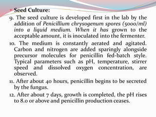  Seed Culture:
9. The seed culture is developed first in the lab by the
addition of Penicillium chrysogenum spores (5000/ml)
into a liquid medium. When it has grown to the
acceptable amount, it is inoculated into the fermenter.
10. The medium is constantly aerated and agitated.
Carbon and nitrogen are added sparingly alongside
precursor molecules for penicillin fed-batch style.
Typical parameters such as pH, temperature, stirrer
speed and dissolved oxygen concentration, are
observed.
11. After about 40 hours, penicillin begins to be secreted
by the fungus.
12. After about 7 days, growth is completed, the pH rises
to 8.0 or above and penicillin production ceases.
 